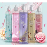 Screenshot 2023-11-24 141501