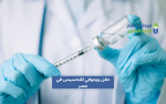 سعر ويجوفي 0.5 في مصر 2026