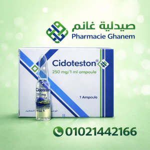 سعر سيدوتستون 250 مجم في مصر 2026 | بدائل واضرار حقنة Cidoteston