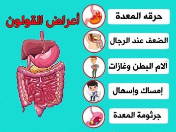 نيكسيكيور 40 مجم 20 قرص | Nexicure 40 mg Tablets|علاج قرحه المعده سعره فى مصر 2026
