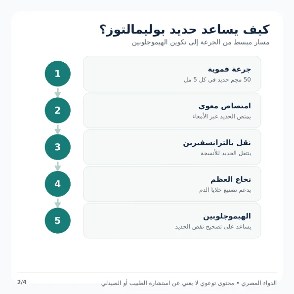 آلية عمل فيروسواب Iron Polymaltose في تعويض نقص الحديد وتكوين الهيموجلوبين